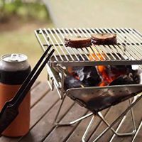 Grillvergnügen to go: Mini, aber oho!