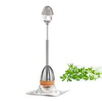 Köpfchen, Köpfchen – Frühstücks-Ei deluxe!