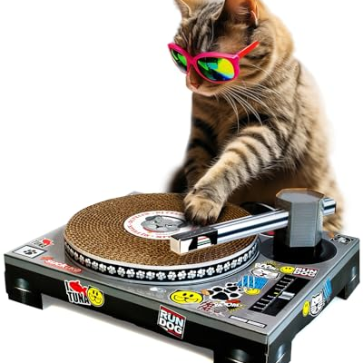 Kratzen, Scratchen, Katzen-DJ: Miau-Mix!