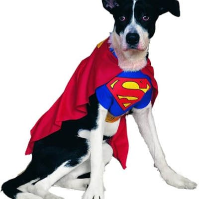 Superhund im Anflug! – Das Superman-Kostüm